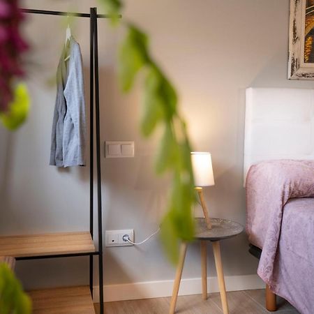 אסטייה Apartamentos Terraza Ega מראה חיצוני תמונה